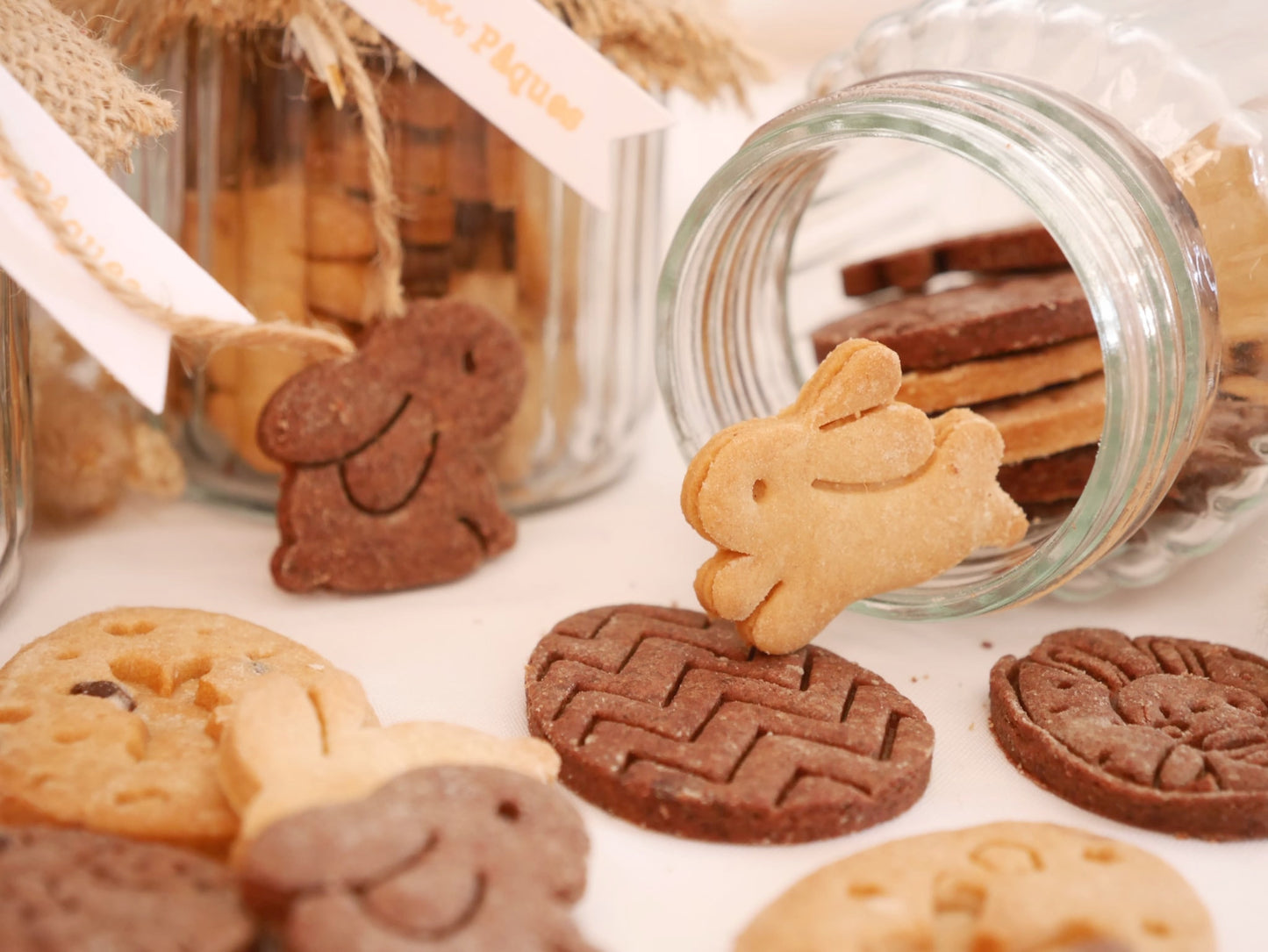 Kollection Lapinou - Pâques 2026